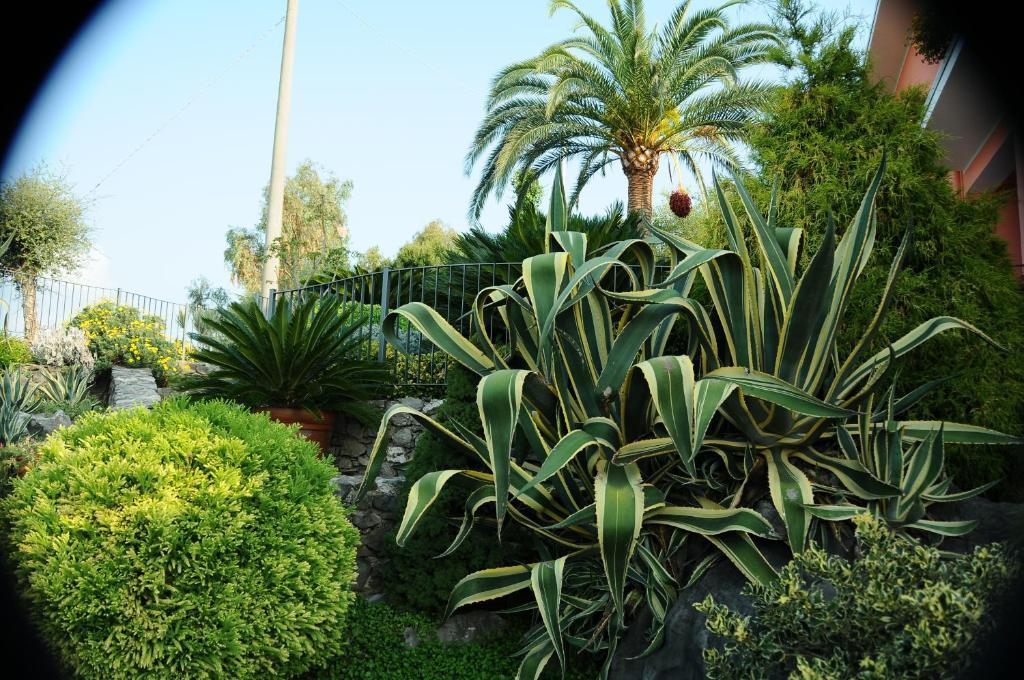 Residence La Cycas Villammare Kültér fotó