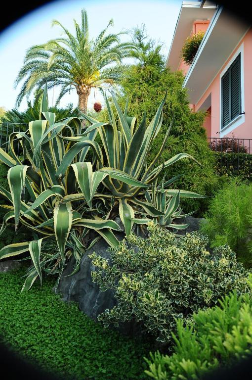 Residence La Cycas Villammare Kültér fotó