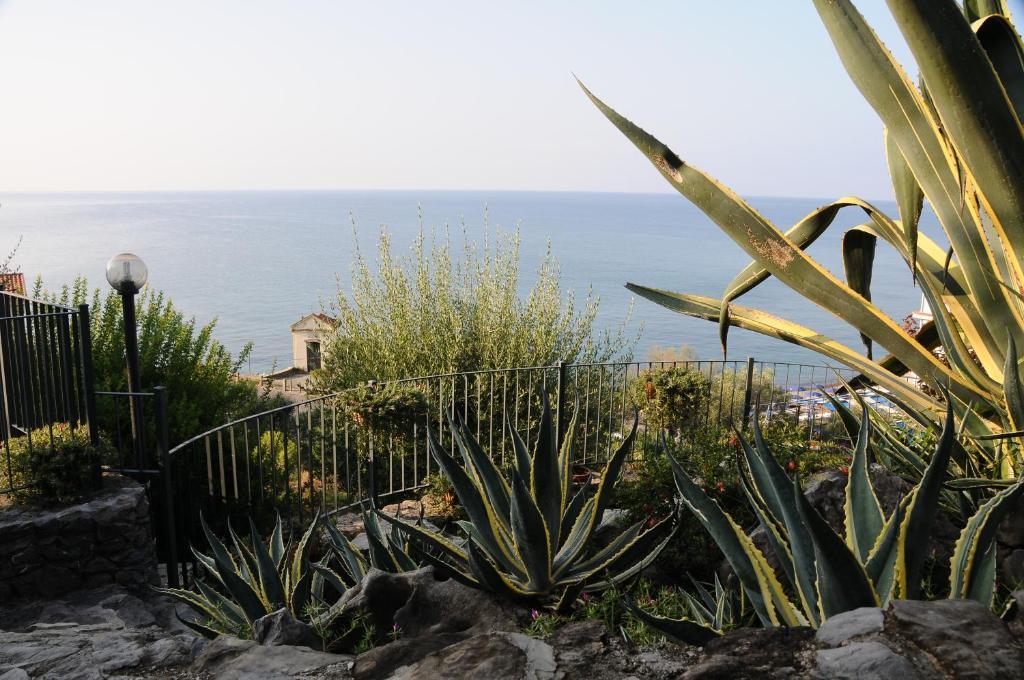 Residence La Cycas Villammare Kültér fotó